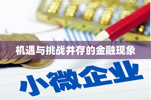 西岗机遇与挑战并存的金融现象