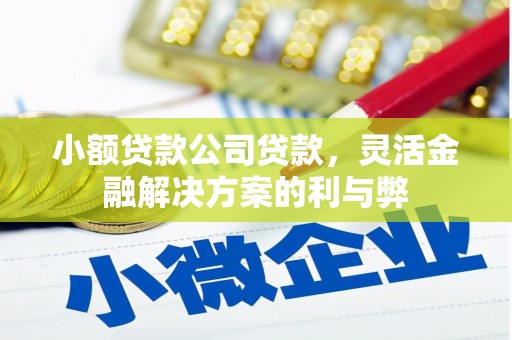 西岗小额贷款公司贷款，灵活金融解决方案的利与弊