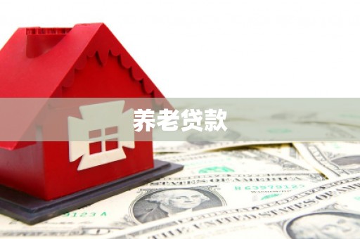 西岗养老贷款