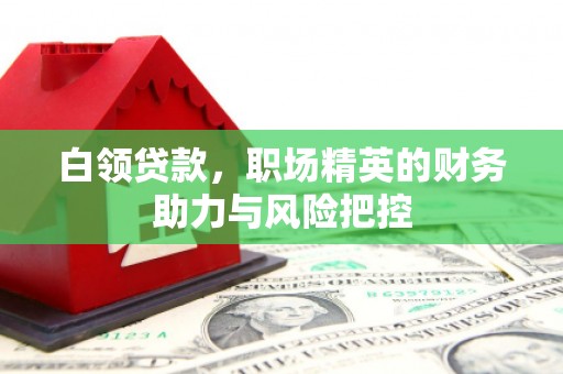 西岗白领贷款，职场精英的财务助力与风险把控